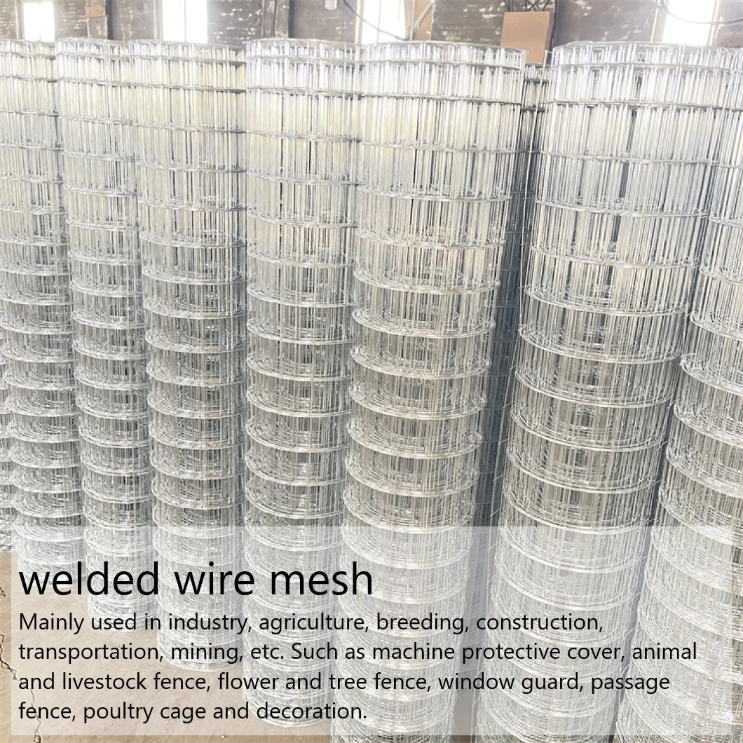 Manufacturer PVC Coated Stainless Steel Hot Dipped Galvanized Welded Wire Mesh Fence Use for Security