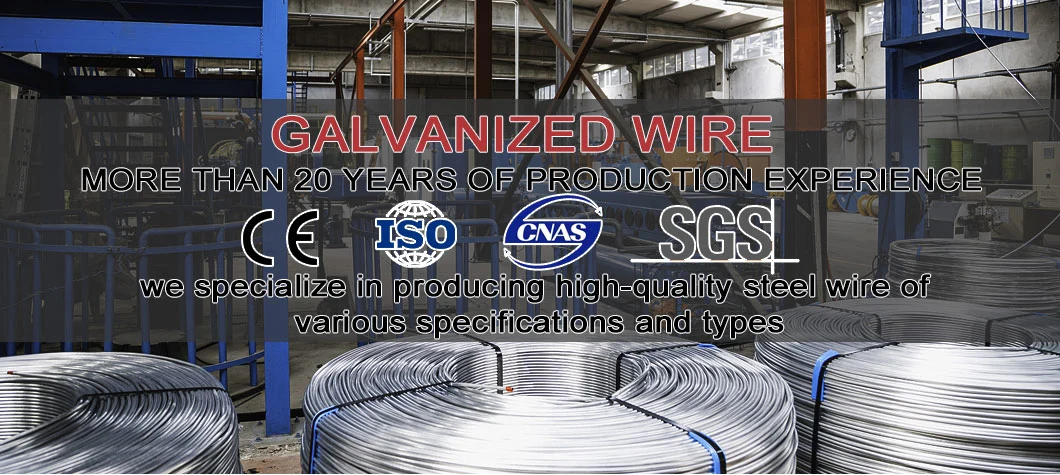Galvanized Binding Gi Wire Bwg 18 20 21 22 Electro Galvanized Iron Carbon Steel Wire for Construction and Wire Mesh Making Gi Wire