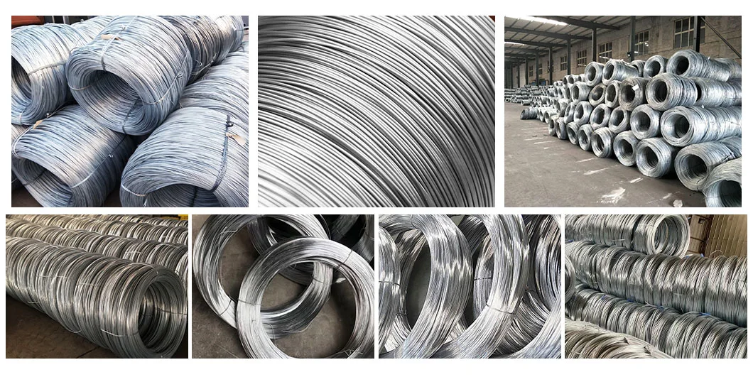 Galvanized Binding Gi Wire Bwg 18 20 21 22 Electro Galvanized Iron Carbon Steel Wire for Construction and Wire Mesh Making Gi Wire