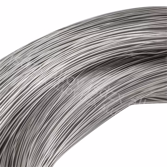 Stainless Steel Wire for Wire Mesh with Ce Certificate (0.3