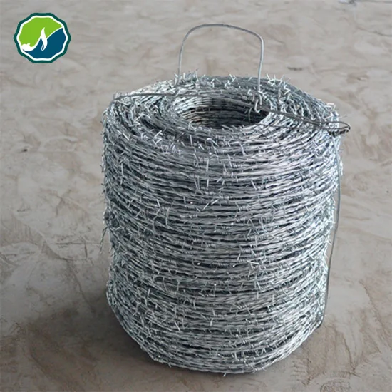Galvanized Barbed Wire Mesh Stainless Steel Barb Wire Fence Roll