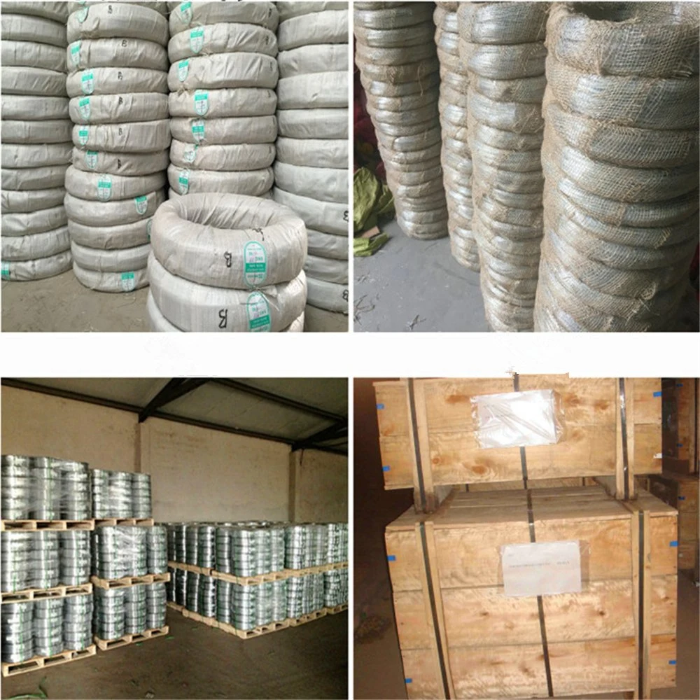 Galvanized Wire for Construction Site Galvanized Wire for Agriculture