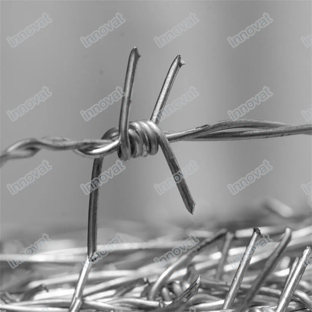 Barbed Wire Barbed Prison Isolation Fence Mesh Fence Stainless Steel Anti-Climbing Thorns Theft