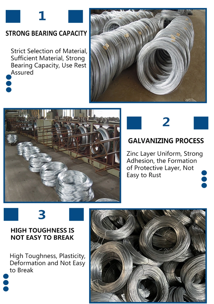Factory Cold Drawn Galvanized Steel Wire SAE ASTM1006/1008low Carbon Steel Wire 1050/1060 High Tensile Steel Wire/Annealed Steel Wire/Rope0.1mm-14mmspring Wire