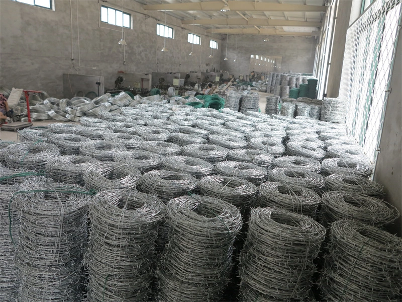 Factory Hot Sales Barbed Steel Fencing Wire Fence Mesh Wires/Galvanized Barbed Wire