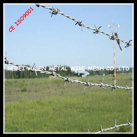 Anping Electro Galvanized Barbed Wire