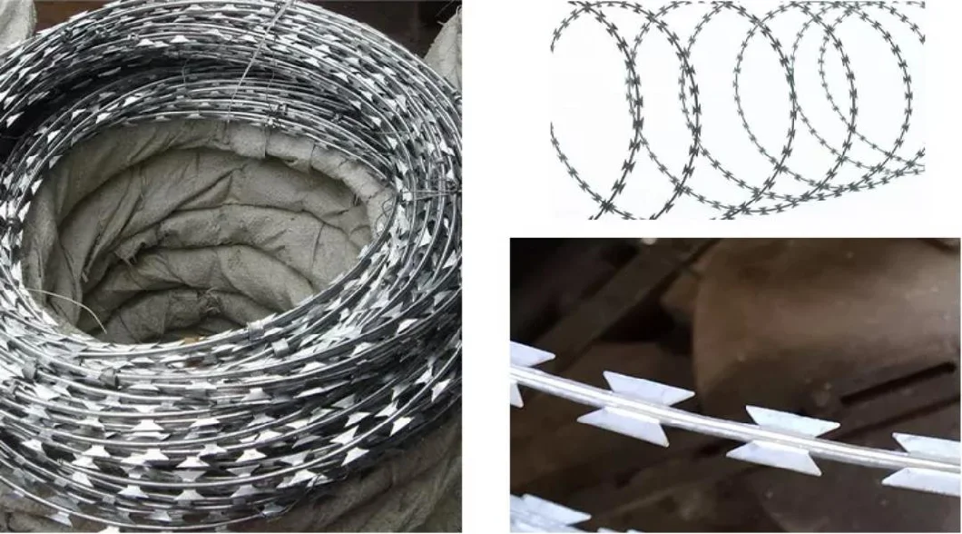 Electric Wire Mesh Razor Wire Stainless Steel Galvanized Wall Fence 32mm Dra Razor Protecting Barbed Mesh Wire