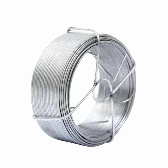 Galvanized Binding Gi Wire Bwg 18 20 21 22 Electro Galvanized Iron Carbon Steel Wire for Construction and Wire Mesh Making Gi Wire
