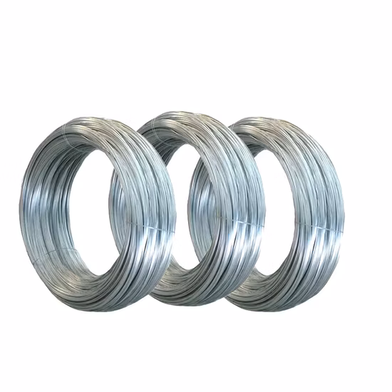 Bwg16/Bwg18/1.0/1.2/1.3/1.4/1.5/1.6/1.65mm Soft Black Annealed Iron Metal Steel Binding Tie Wire of 1kg/1lb Per Roll, 20kg/25kg/Roll or Carton for Building