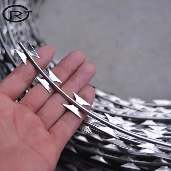 Factory Price Concertina Raozr Barbed Wire Galvanized PVC Coated Razor Mesh Fence 