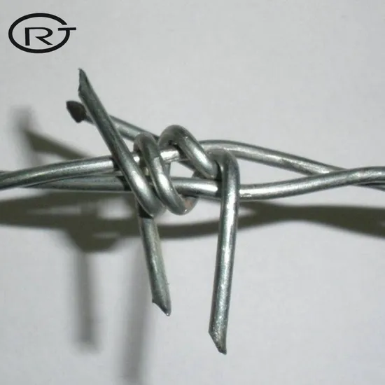Security Barbed Wire Single and Double Barbed Wire Price Galvanized and PVC Coated Type China Supplier 