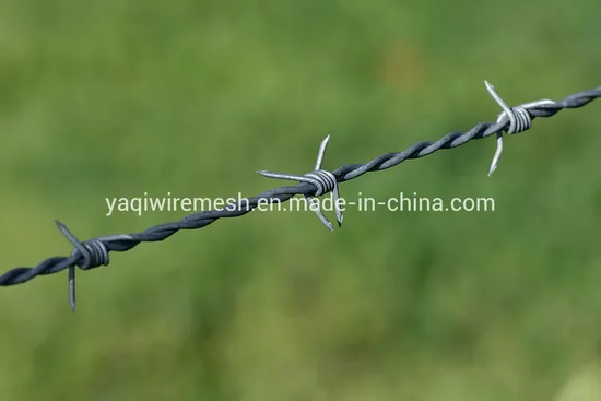 Best Price PVC Coated Barbed Wire / Galvanized Barbed Wire Fencing 