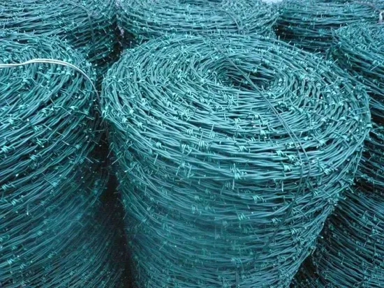 Hot Dipped Galvanized and PVC Coated Barbed Wire for Farming/Animal 